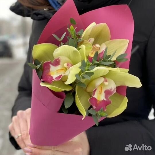 Букет цветов 531 Орхидеи зеленые 45 шт