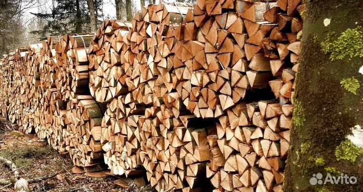 Дрова для камина