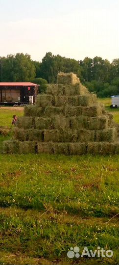 Сено в тюках