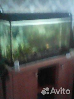 Аквариум 100л