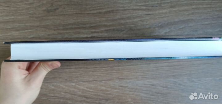 Книги Холли Вебб Мейзи Хитчинс