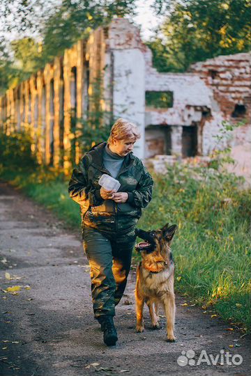 Кинолог. Дрессировка собак