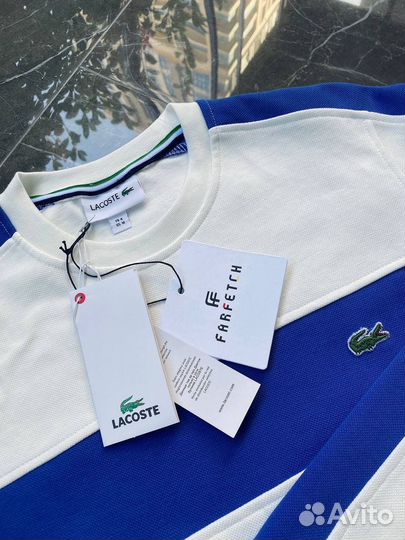 Спортивный костюм lacoste бело-синий