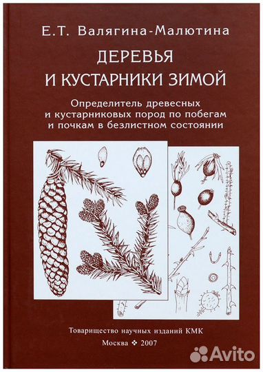 Валягина-Малютина. Деревья и кустарники зимой