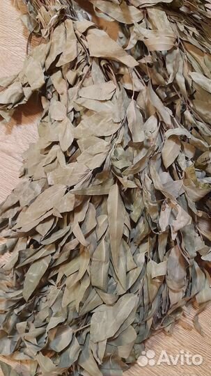 Веники банные