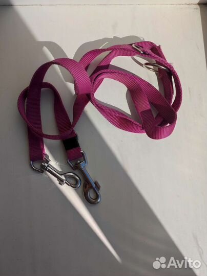 Ошейники, поводки для собак. Амуниция