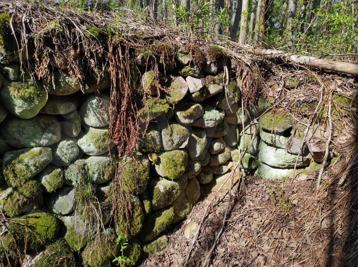 Участок 5,8 га (СНТ, ДНП)