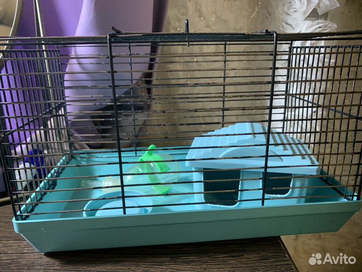 Товары для грызунов