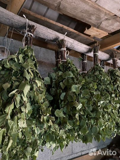 Березовые веники для бани