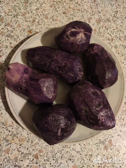 Семеной фиолетовый картофель и на еду