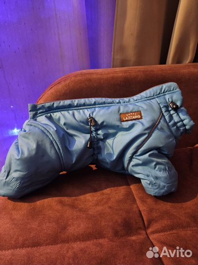 Одежда для собак мелких пород зима