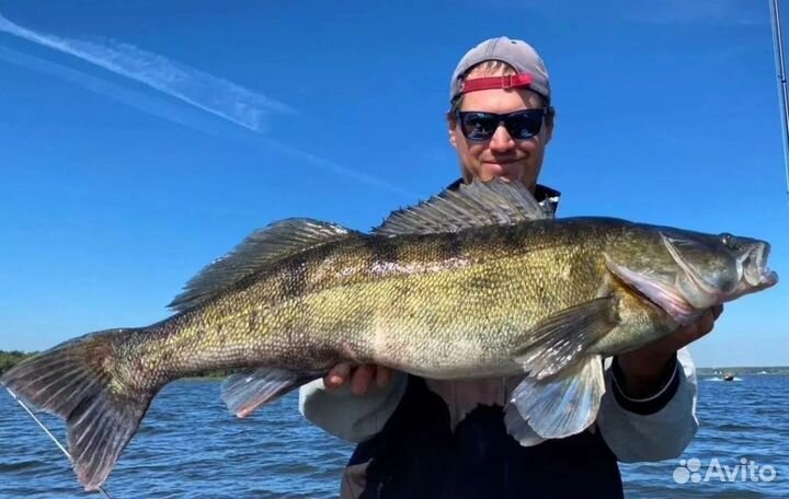 Рыбалка с гидом на Иваньковском водохранилище