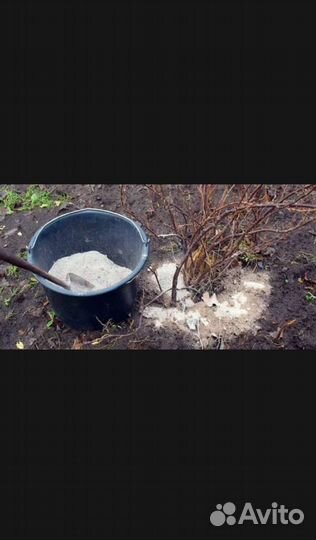 Зола древесная как удобрение с доставкой