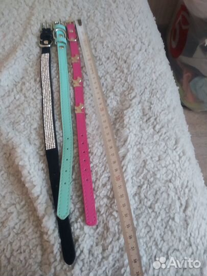 Ошейники для мелких собак