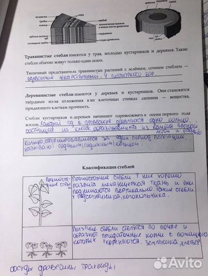 Репетитор по биологии огэ