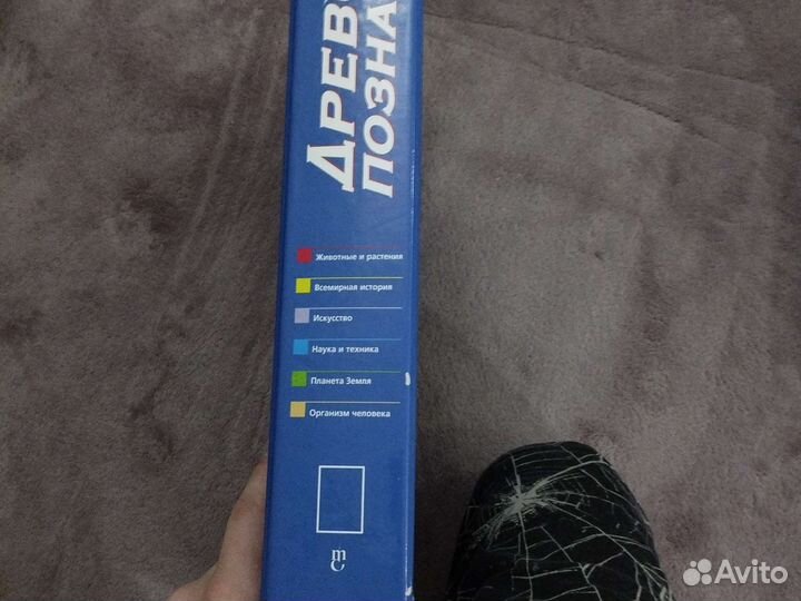 Энциклопедия