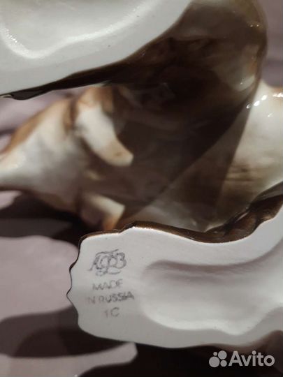 Медведь ифз