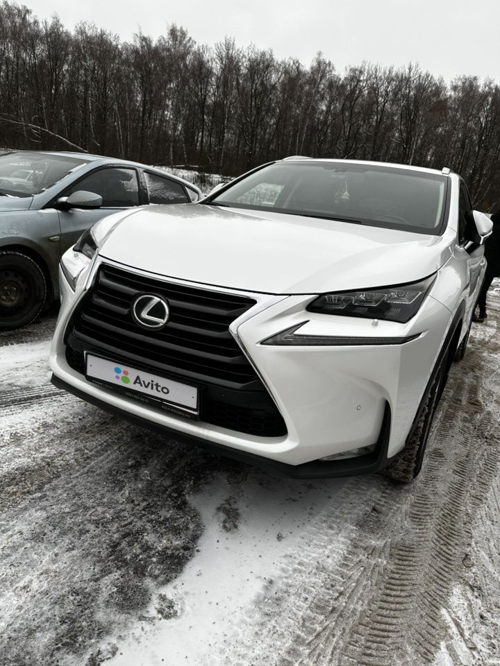 Lexus NX: фото владельца