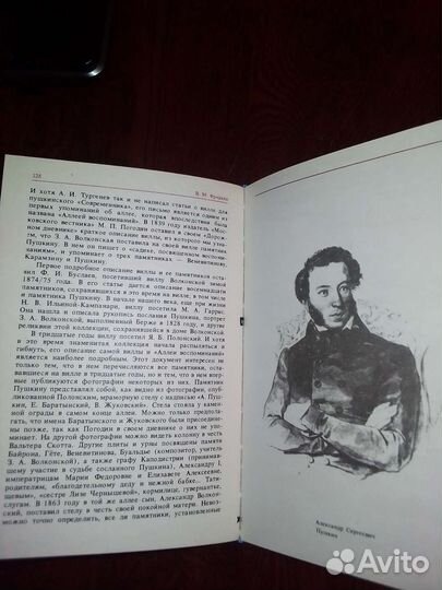 Пропавший дневник Пушкина. Фридкин