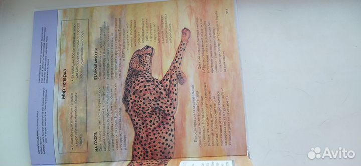 Книга вымершие животные