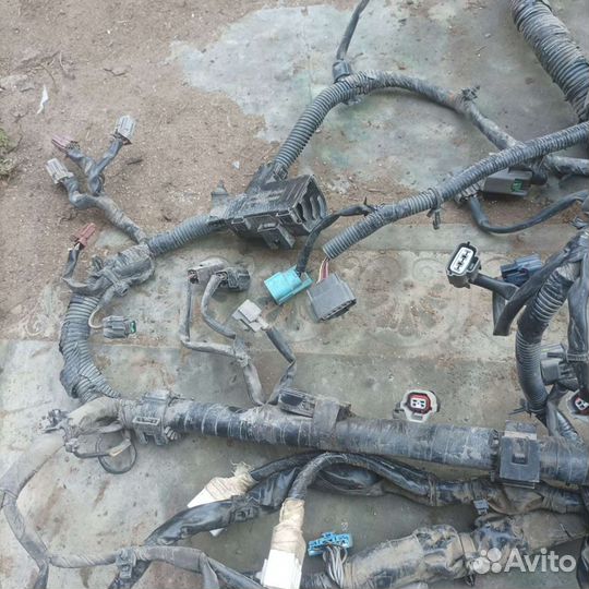 Проводка/моторная коса Nissan Maxima A33