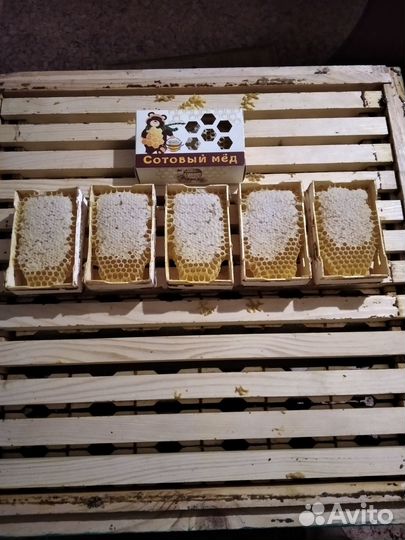 Башкирский мёд 2022 года Сотовый мёд