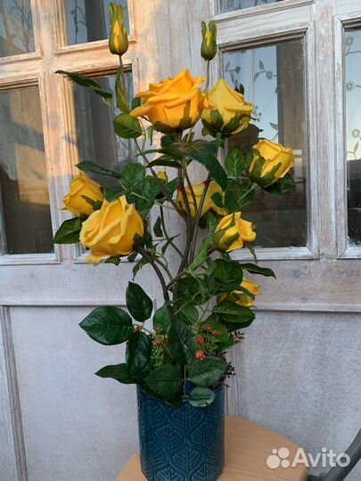 Розовый куст