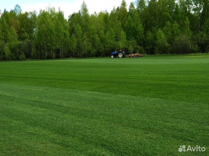 Рулонный газон от производителя