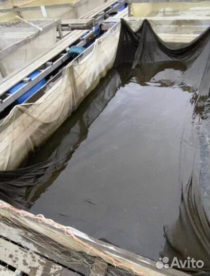 Садок для выращивания рыбы