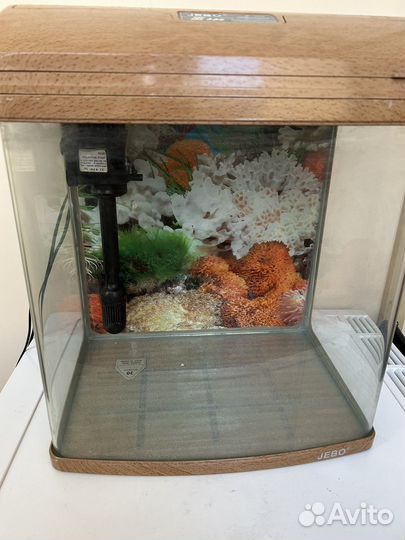 Аквариум