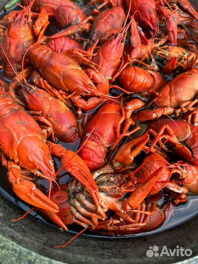 Вкусные раки варка по семейному рецепту