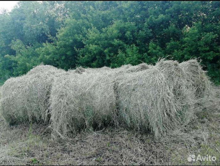 Сено в тюках