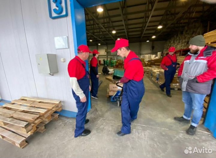 Москва Вахта от 15 - Грузчик на производство чай