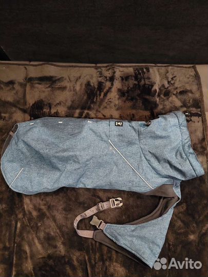 Одежда для средних собак