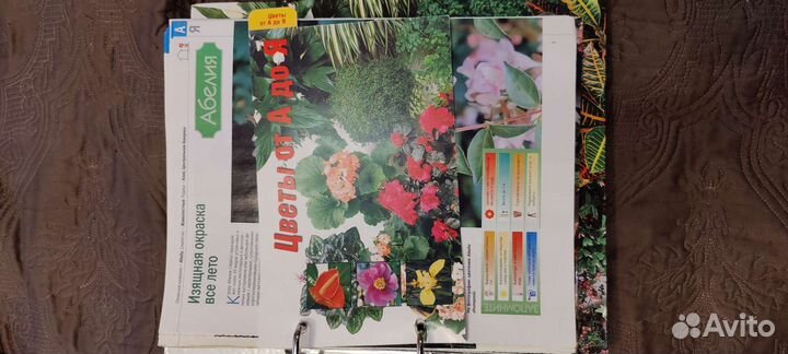 Комнатные и садовые растения