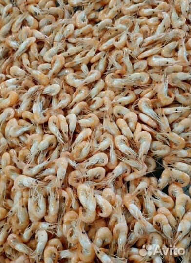 Креветка черноморская вареная