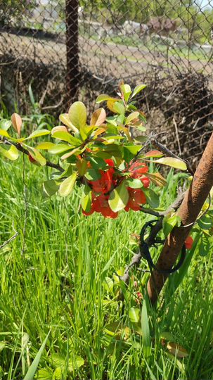 Дом 12,3 м² на участке 5,3 сот.