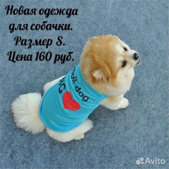 Одежда для собак