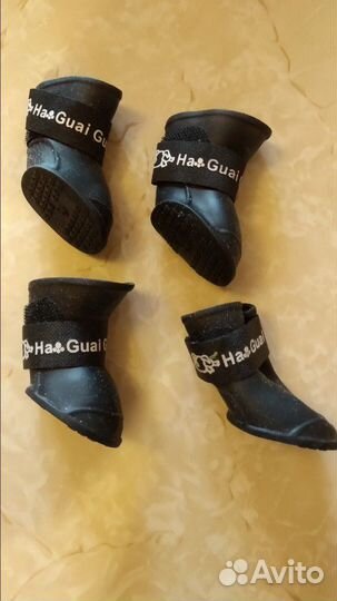 Сапожки для маленькой собачки