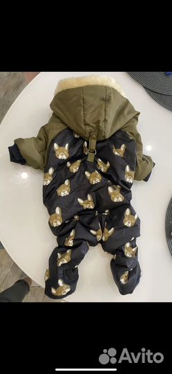 Комбинезон для собаки