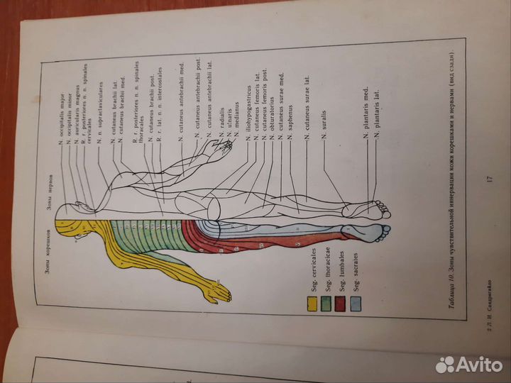 Атлас по неврологии Сандригайло
