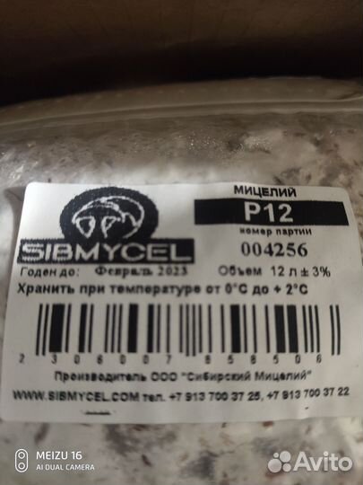 Мицелий грибов вешенки