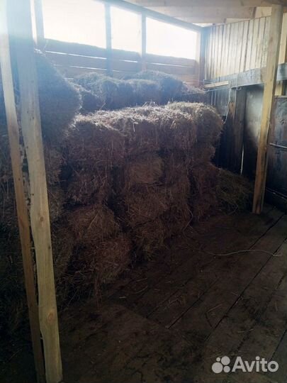 Сено свежий укос 2024 г