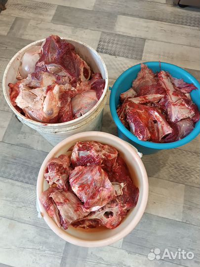 Говядина на корм собакам