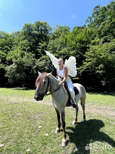 Крылья ангела