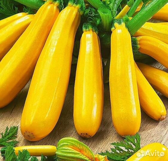 Кабачок Ананасный семена