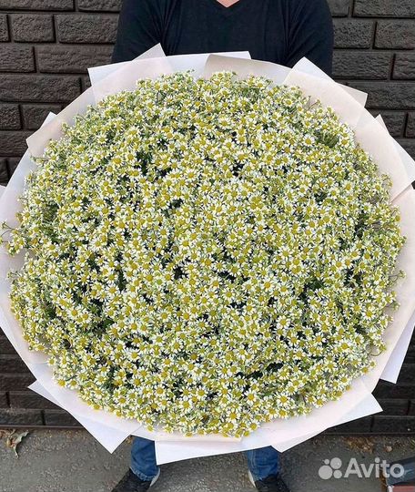 Букеты. Доставка ромашек