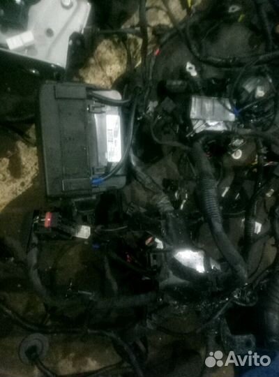 Проводка кио рио 2014-2017 1.6 механника