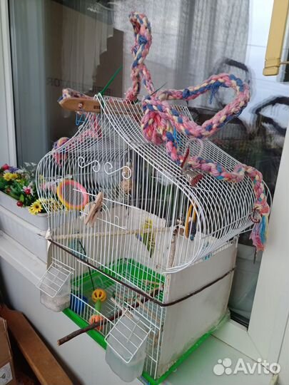 Клетка для попугая
