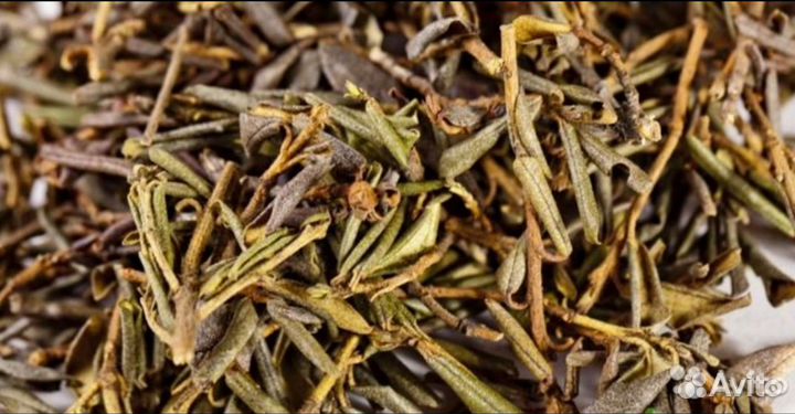 Сагаан-дайля, 50гр